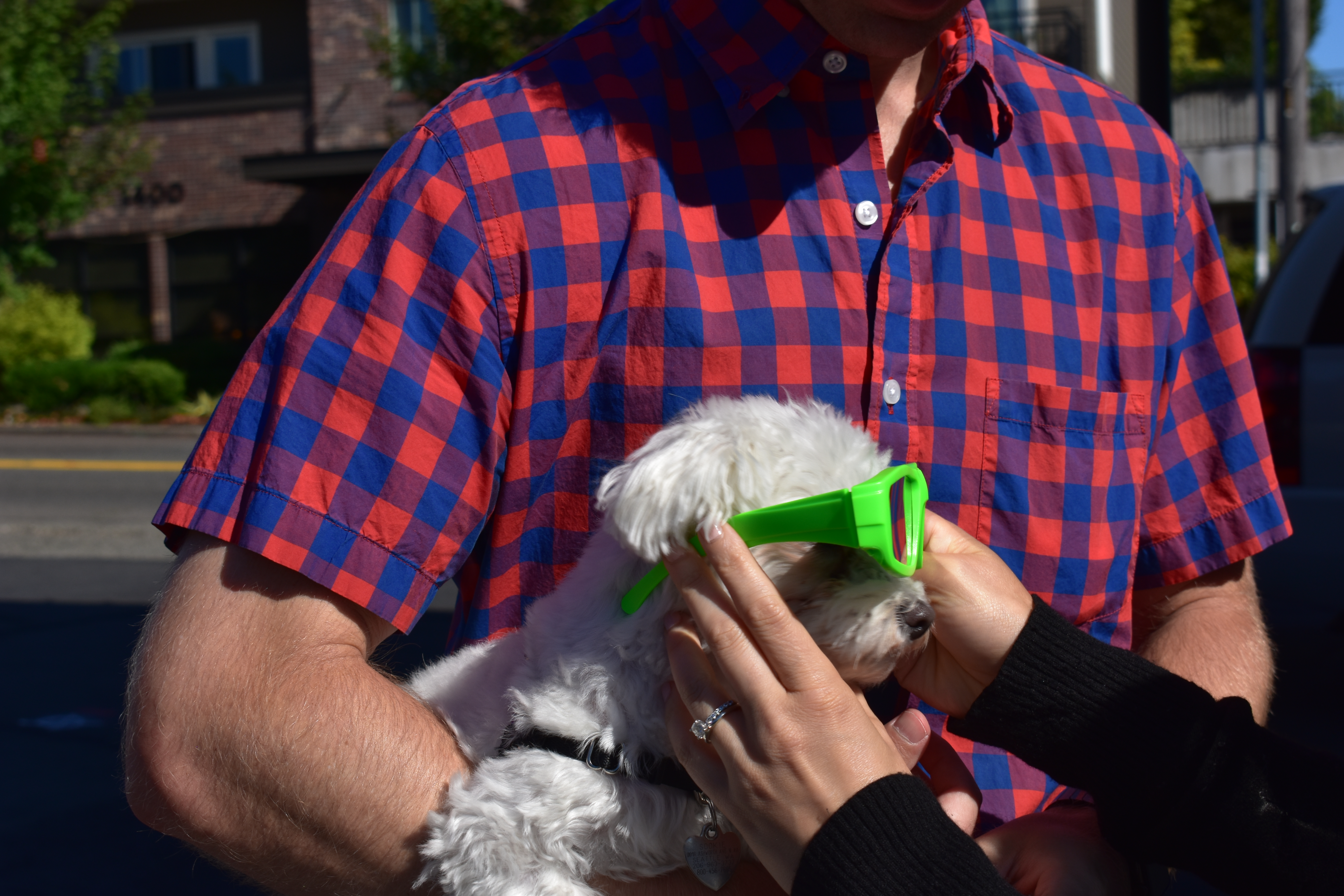 Ironwood takes on the Total Solar Eclipse 2017