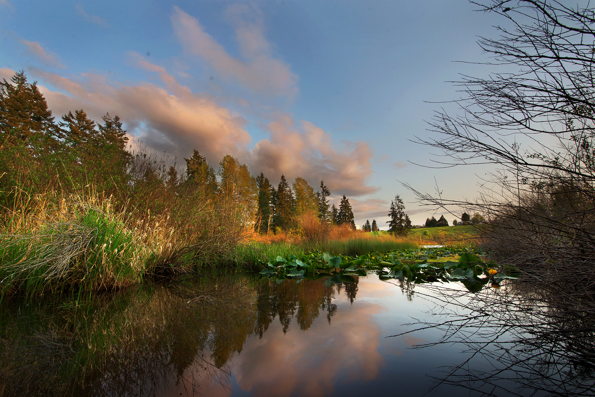 Submarket Series: A Look at Kent Valley